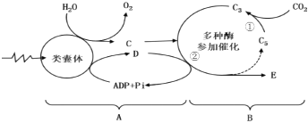 菁優(yōu)網