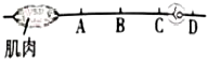 菁優(yōu)網(wǎng)