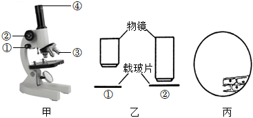 菁優(yōu)網