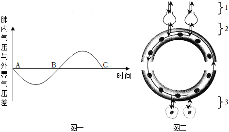 菁優(yōu)網(wǎng)