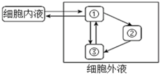 菁優(yōu)網(wǎng)