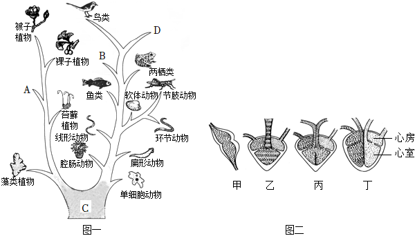 菁優(yōu)網(wǎng)