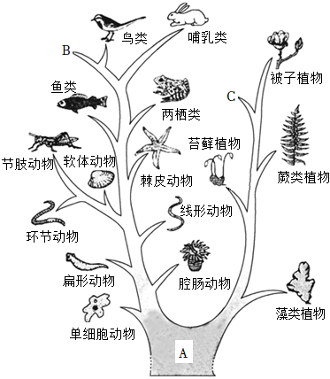 菁優(yōu)網(wǎng)