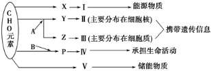 菁優(yōu)網