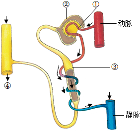 菁優(yōu)網(wǎng)