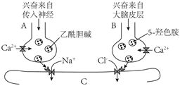 菁優(yōu)網(wǎng)