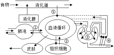 菁優(yōu)網