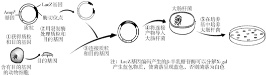 菁優(yōu)網