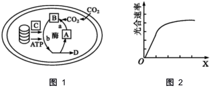 菁優(yōu)網