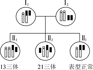 菁優(yōu)網