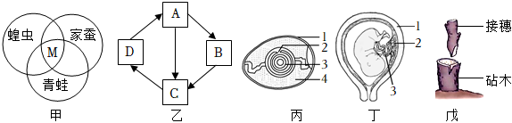 菁優(yōu)網(wǎng)