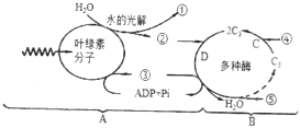 菁優(yōu)網(wǎng)