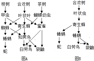 菁優(yōu)網