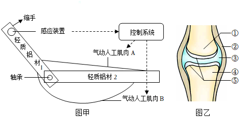 菁優(yōu)網