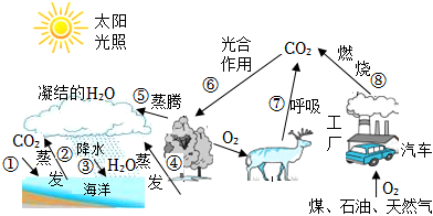 菁優(yōu)網(wǎng)