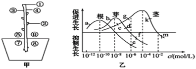 菁優(yōu)網(wǎng)