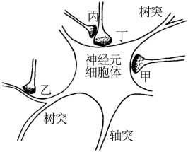 菁優(yōu)網(wǎng)