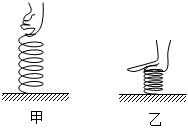 菁優(yōu)網