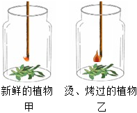 菁優(yōu)網(wǎng)