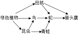 菁優(yōu)網(wǎng)