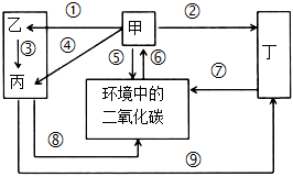 菁優(yōu)網(wǎng)