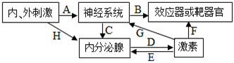 菁優(yōu)網(wǎng)