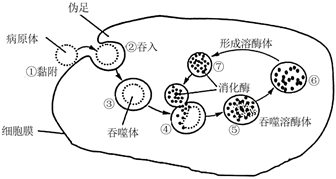 菁優(yōu)網