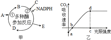 菁優(yōu)網(wǎng)