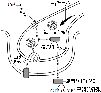 菁優(yōu)網(wǎng)