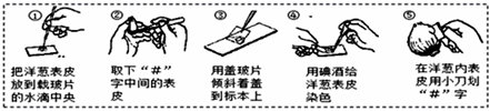 菁優(yōu)網(wǎng)