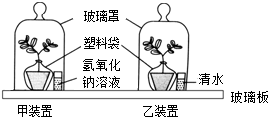 菁優(yōu)網(wǎng)