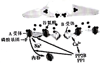 菁優(yōu)網(wǎng)