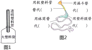 菁優(yōu)網(wǎng)