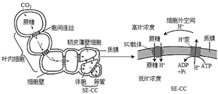 菁優(yōu)網