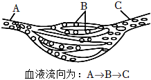 菁優(yōu)網(wǎng)