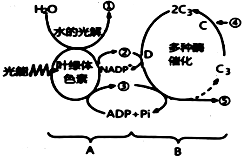 菁優(yōu)網(wǎng)