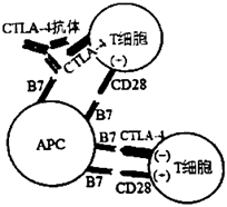 菁優(yōu)網