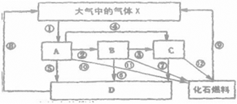 菁優(yōu)網(wǎng)