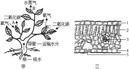 菁優(yōu)網(wǎng)