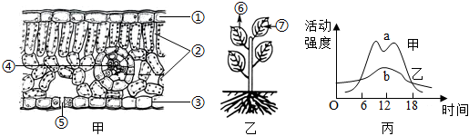 菁優(yōu)網(wǎng)