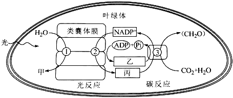 菁優(yōu)網(wǎng)