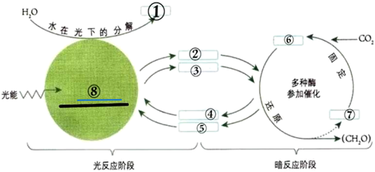 菁優(yōu)網(wǎng)