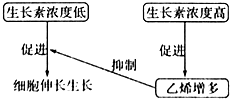 菁優(yōu)網(wǎng)