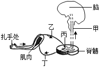 菁優(yōu)網(wǎng)