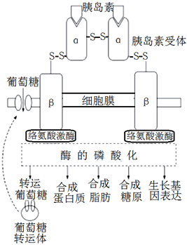 菁優(yōu)網