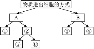 菁優(yōu)網