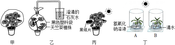 菁優(yōu)網(wǎng)