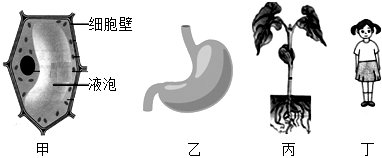 菁優(yōu)網