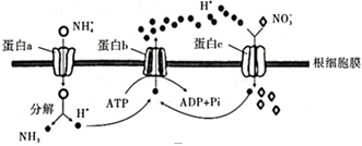 菁優(yōu)網(wǎng)