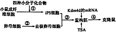 菁優(yōu)網